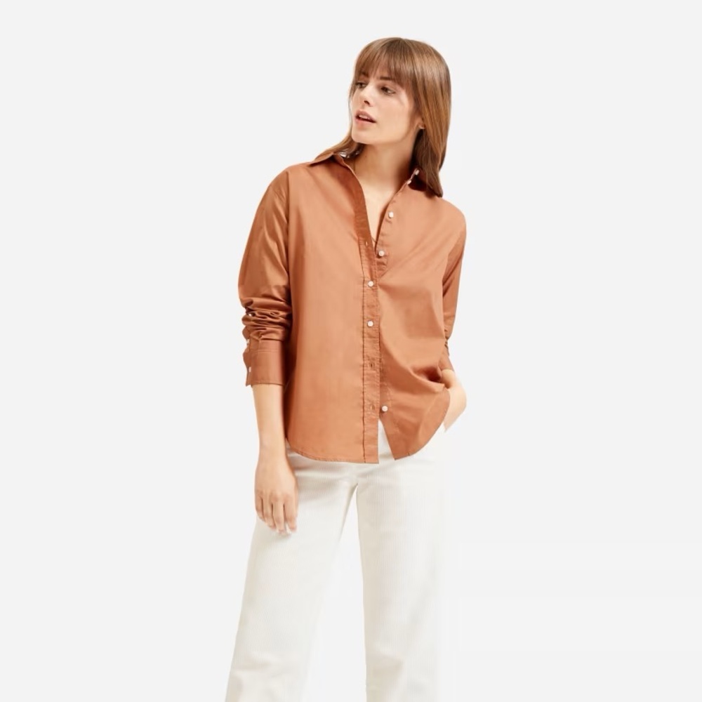 Everlane Silky Cotton Relaxed Shirt in tawny brown
